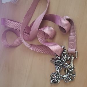 Dog collar with leash